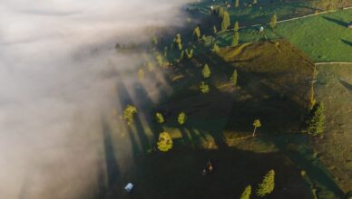 Miljöbild över klimatets effekt